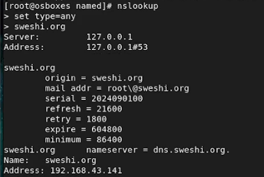 using nslookup to test the DNS server